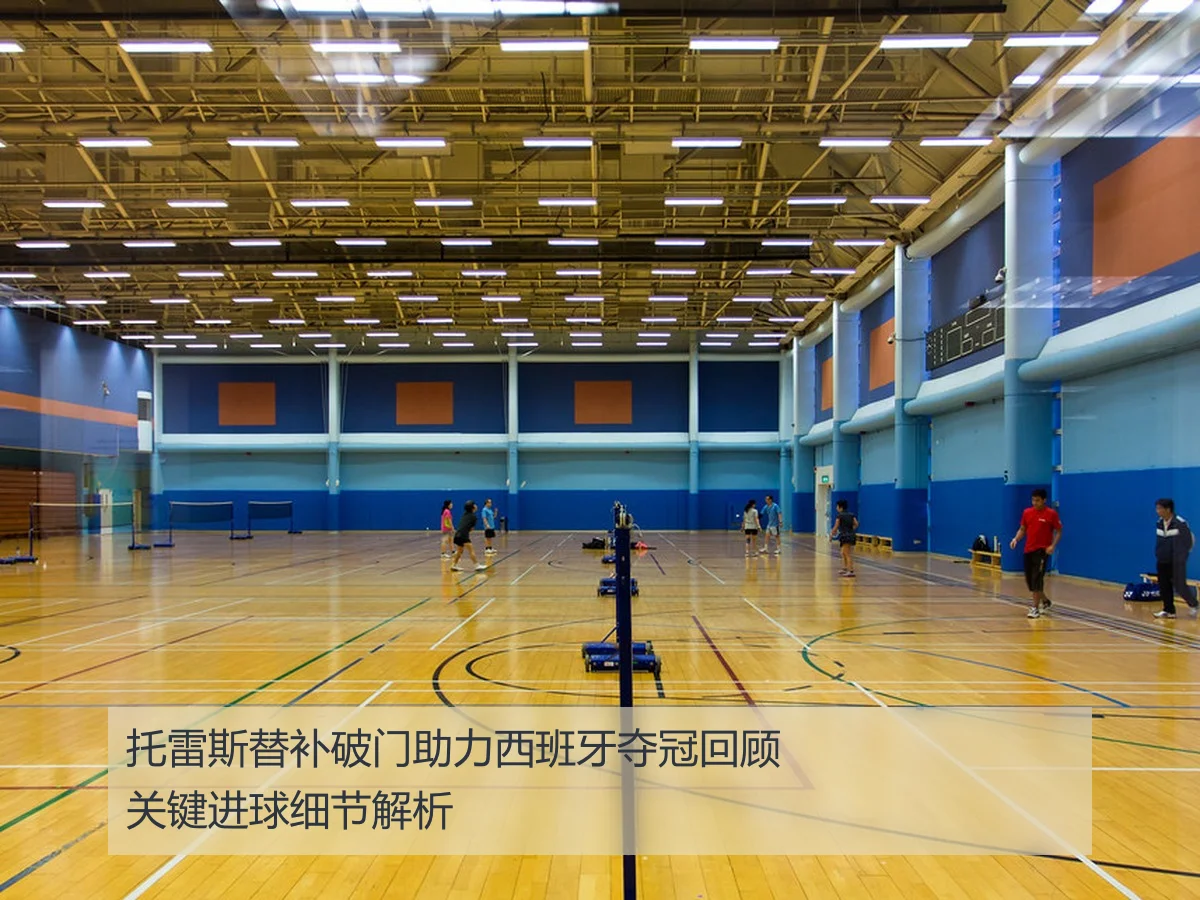 托雷斯替补破门助力西班牙夺冠回顾关键进球细节解析